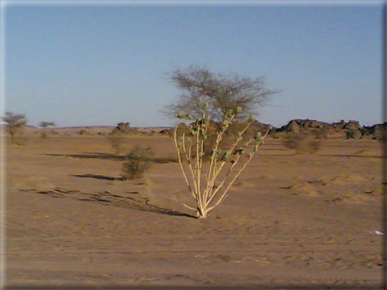 foto Deserto Libico- Nubiano